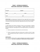 ENTREGA EN SEMANA 8 INDUCCIÓN, UBICACIÓN Y SEPARACIÓN