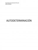 Promoción de la Autonomía Personal Aplica Individual AUTODETERMINACIÓN