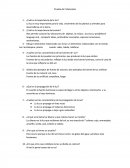 Prueba de C.Naturales ¿Cuál es la importancia de la luz?