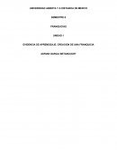 EVIDENCIA DE APRENDIZAJE. CREACION DE UNA FRANQUICIA