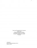 Planteamiento de la situación problema.