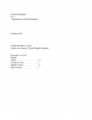 Argumentos de Mesa Redonda