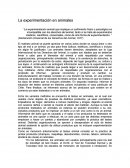 La experimentación en animales