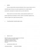Somos una cadena hotelera internacional dedicada a ofrecer a nuestros clientes no solo un confortable espacio de descanso sino poder acompañar dentro de su estadía brindando asesoramiento y participación en los planes turísticos que cada ciudad ofrece