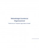 Metodología Excelencia Organizacional[pic 1] Estudio de caso: Transportes Laguna Blanca Limitada.