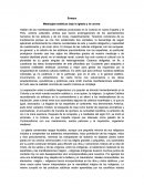 VANGUARDIA, INTERNACIONALISMO Y POLITICA.