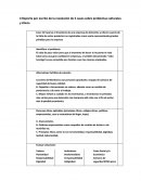 Reporte por escrito de la resolución de 2 casos sobre problemas culturales y éticos.