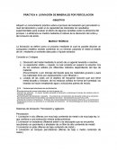 PRÁCTICA 4: LIXIVIACIÓN DE MINERALES POR PERCOLACIÓN.