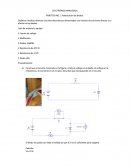 Polarizacion de diodos practica.