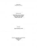 COMPAÑÍA HIPOTETICA S.A.