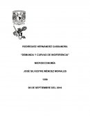 Demanda y curvas de indiferencia. Microeconomía