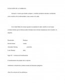 EVOLUCIÓN DE LA FARMACIA.