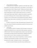 TEMA-	¿Cuál es el objetivo de la compañía?