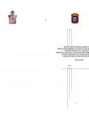 Version Proyecto final.