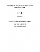 Reflexiones sobre una novela de envidia y ambición