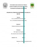 Proceso de enfermeria del adulto mayor.