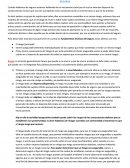 Cuando hablamos de seguros estamos hablando de un mecanismo social por el cual se intentan dispersar las consecuencias nocivas que ocurren a propósito como consecuencia de un evento futuro y que se ha previsto..