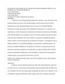 ESTUDIO DE ACEPTACIÓN DE UN CENTRO DE ALMACENAMIENTO FÍSICO A LAS PYMES.