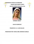 CATEDRA: FISICA II GUIA DE EJERCICIOS