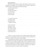 Síntesis de Martin Fierro.