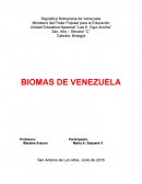 Biomas de Venezuela.