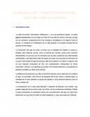 ELABORACIÓN Y CARACTERIZACIÓN DEL JUGO DE CAÑA DE AZÚCAR