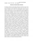 Sistemas de Gestión Medio Ambiental