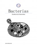 ¿Cuáles son las principales caracteristicas de las bacterias que las distingen de los otros seres vivos?