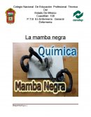 La mamba negra .