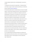 ¿Considera realmente el estado de chile a la comunidad mapuche, como parte de la sociedad?