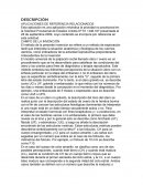 APLICACIONES DE REFERENCIA RELACIONADOS