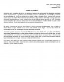 Guten Tag Ramón. La película narra la aventura de Ramón