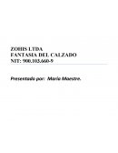En el siguiente trabajo se encontrara la información de la empresa Zohis Ltda. Fantasía del calzado, enfocándose en el aspecto emprendedor de esta empresa, teniendo en cuenta la historia de la empresa y su inicio.