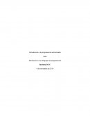 Intrudiccion a la programacion PSeint