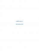 En este Trabajo de Fin de Grado se estudia el motivo de porqué en las últimas tendencias del Marketing el inglés se utiliza como lengua franca.