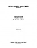 Analisis proyecto mina el pedregal