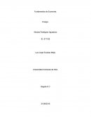 Mercadeo elasticidad. La oferta, la demanda y el mercado.