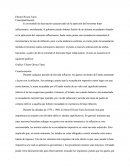 Es un modelo de descripción caracterizado de la aparición del horizonte hiper inflacionario;