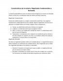 Características de la materia. Magnitudes Fundamentales y Derivadas