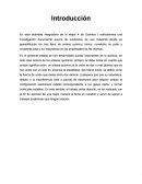 Actividad integradoa quimica I etapa 1