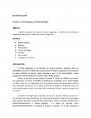 BIOLOGÍA CELULAR Práctica 5. Frotis Sanguíneo y Tinción de Wright.