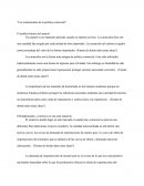 Los instrumentos de la política comercial