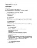 Cultura maya. Los restos mayas identificados datan de 500 a.C.