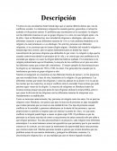 Vivimos en una sociedad tan hostil donde algo que se supone debería darnos paz, nos da conflictos sociales.