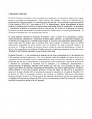 Comentarios Generales. ANALISIS VERTICAL GRUPO FAMILIA S.A.