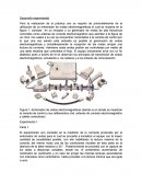 Deteccion de ondas. Desarrollo experimental