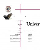 Presentación de Plan de trabajo para elaborar el Manual de Recursos Humanos en una empresa real.