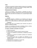 Programa de concientización ambiental mediante la elaboración de manualidades de material reciclable con alumnos de 5to grado del colegio Modesto Armijo Lozano en la ciudad de León, Agosto-Octubre 2016.