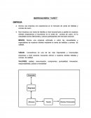 MARROQUINERA “YARET”