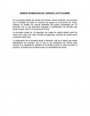 SONDEO DE MERCADO DEL YORGURT LAIT’S TACNEÑO